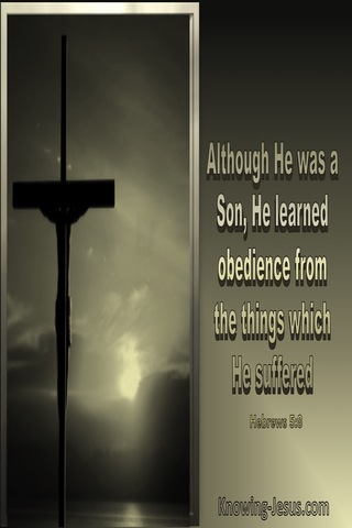 Hebrews 5:8 Jesus Learned Obedience Thru Suffering (beige)